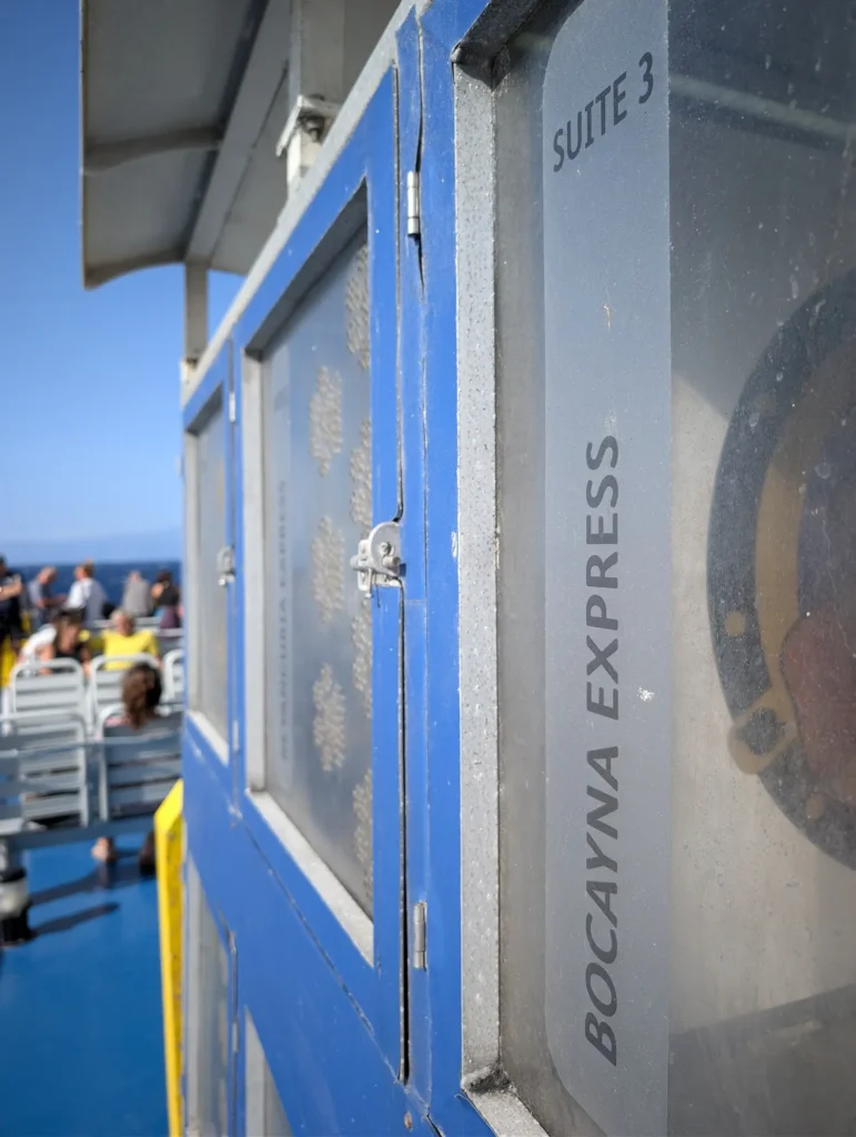 Perro tranquilo dentro de una jaula para mascotas completamente cerrada y asegurada con un pestillo mecánico en un ferry